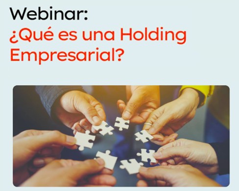 que es un holding empresarial